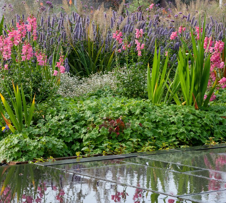 Blühender Garten mit pinken und violetten Blüten, grünen Blättern und feuchtem Steinweg, der die Blumen farbvoll widerspiegelt. | © Adobe Stock/ barbara buderath