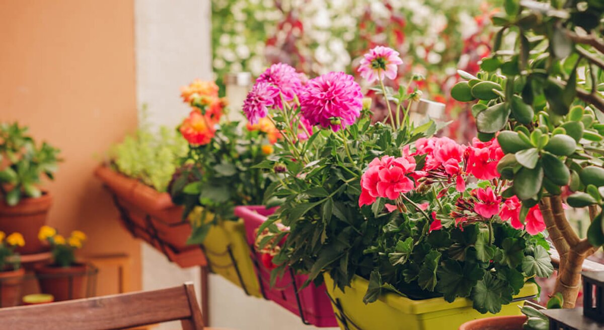 Balkon mit blühenden Blumen und Pflanzen