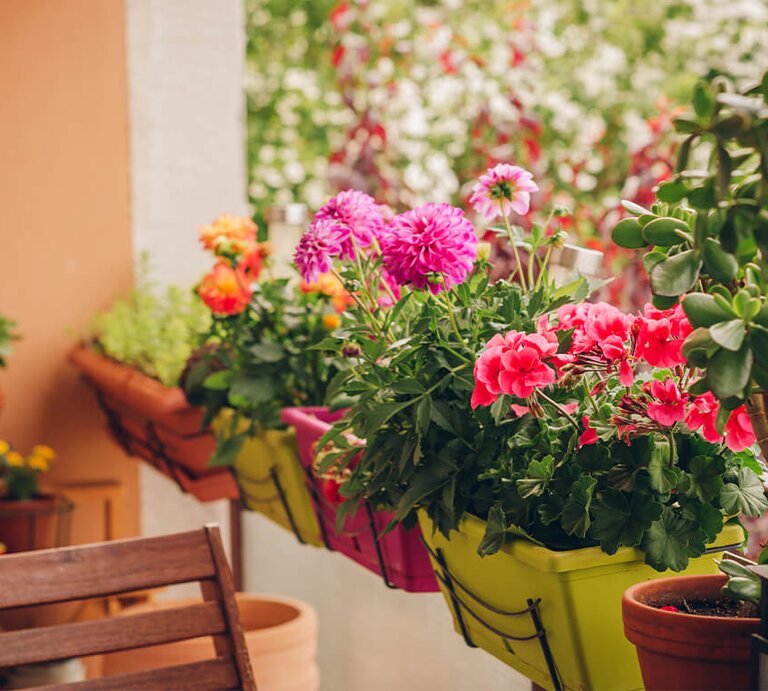 Balkon mit blühenden Blumen und Pflanzen | © Getty Images