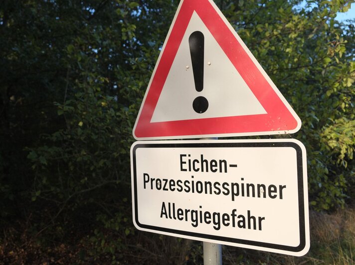  Warnschild im Freien mit der Aufschrift "Eichen-Prozessionsspinner Allergiegefahr". Das Schild hat eine rote Dreiecksform mit einem Ausrufezeichen und befindet sich vor einem Hintergrund mit Bäumen. | © imago/Niehoff