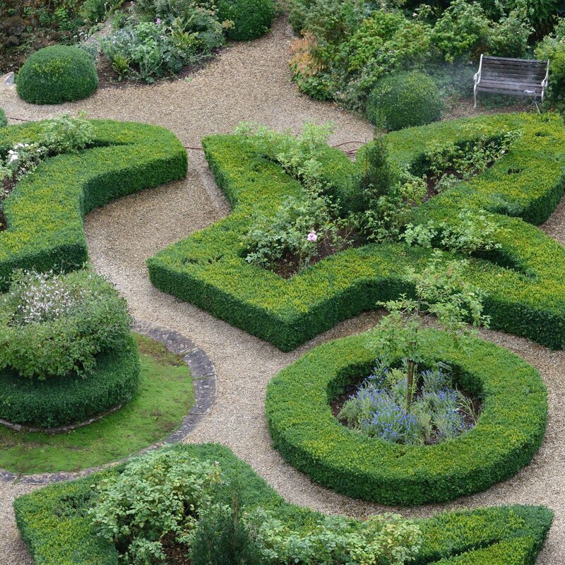 Ein Englischer Garten ist mit Buchsbäumen bepflanzt, die in komplexe Form gebracht wurden. | © IMAGO/imagebroker