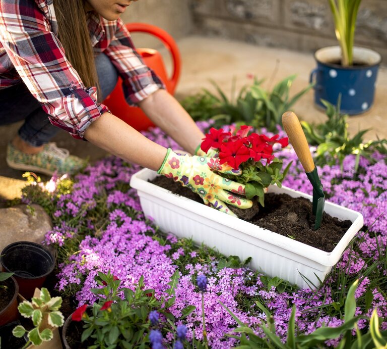 Eine Frau pflanzt Blumen in einen Kübel. Sie trägt dabei Handschuhe und kniet vor einem Beet. | © gettyimages/ NDinfinity
