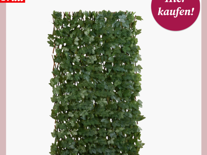  Ein ausziehbares Spalier aus echten Weidenzweigen mit künstlichen Efeublättern, für die Verwendung als Sichtschutz auf Balkonen oder Terrassen, mit einem Hinweisbutton zum Kauf. | © Lidl 