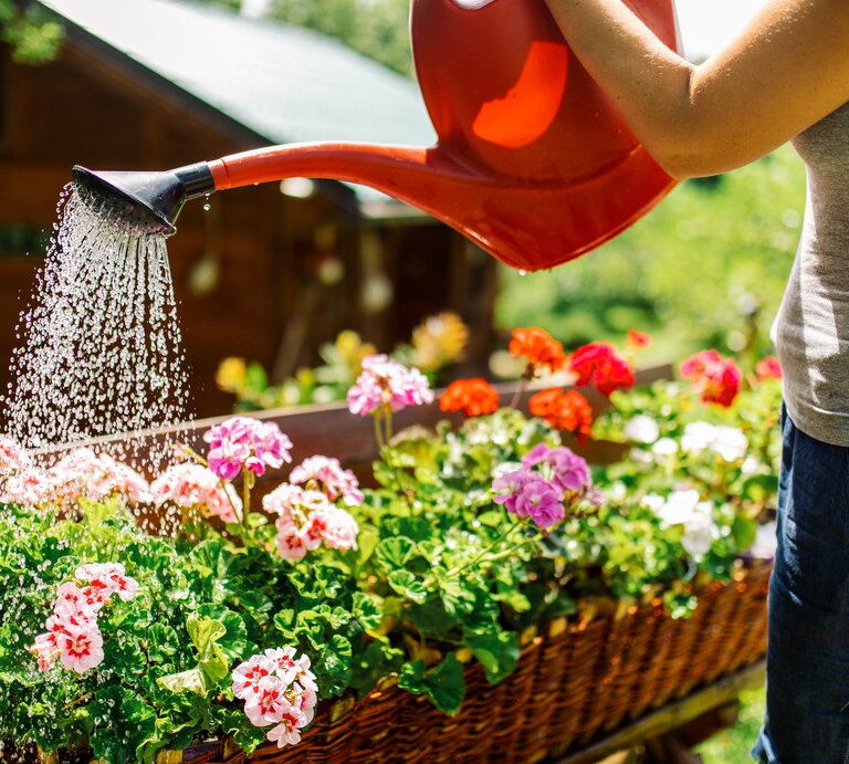 Blumen gießen mit roter Gießkanne | © Getty Images