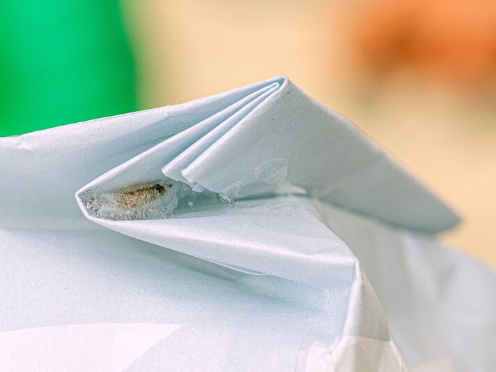Papiertüteneck mit sichtbaren Spuren einer Lebensmittelmotte, die sich dort eingenistet oder ihre Eier abgelegt hat. | © Adobe Stock / Thomas Heitz