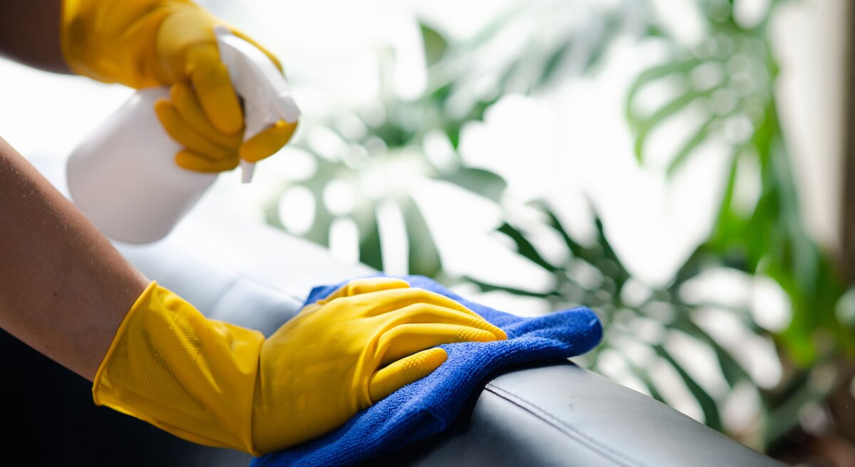 Behandschuhte Hände putzen mit Lappen über Ledercouch