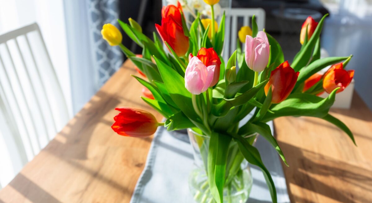 Ein lebhafter Strauß roter, gelber und rosa Tulpen steht in voller Blüte in einer klaren Glasvase auf einem Holztisch. Der Tisch ist teilweise mit einer blauen Stofftischdecke bedeckt. Die Szene ist in einem hellen Raum mit Tageslicht aufgenommen, das durch ein nahegelegenes Fenster hereinfällt, wodurch lebhafte Schatten und Lichtspiele auf dem Tisch und den Wänden entstehen. Dieses Arrangement vermittelt ein Gefühl von Frische und Frühlingsstimmung in einem Hausinterieur.