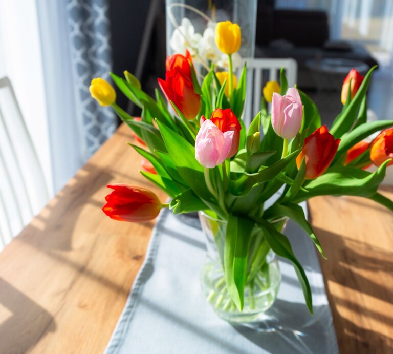 Ein lebhafter Strauß roter, gelber und rosa Tulpen steht in voller Blüte in einer klaren Glasvase auf einem Holztisch. Der Tisch ist teilweise mit einer blauen Stofftischdecke bedeckt. Die Szene ist in einem hellen Raum mit Tageslicht aufgenommen, das durch ein nahegelegenes Fenster hereinfällt, wodurch lebhafte Schatten und Lichtspiele auf dem Tisch und den Wänden entstehen. Dieses Arrangement vermittelt ein Gefühl von Frische und Frühlingsstimmung in einem Hausinterieur. | © gettyimages/Patryk_Kosmider