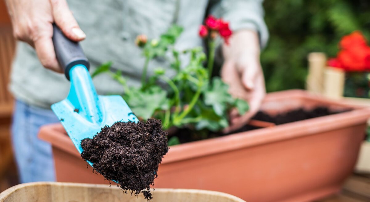 Person gibt Blumenerde mit einer blauen Gartenschaufel in ein Pflanzgefäß. Im Hintergrund ist ein Terrakottatopf mit einer Pflanze zu sehen, sie scheint im Garten oder auf einer Terrasse zu arbeiten.