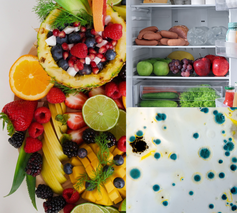 Frische Früchte aufgeschnitten neben einem vollen Kühlschrank und einer Nahaufnahme von grün-blau verschimmelter Oberfläche. | © Canva/Collage: Bildderfrau.de