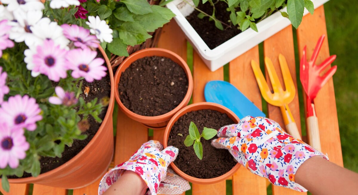 Auf einem Gartentisch stehen Blumentöpfe und jemand pflanzt etwas.