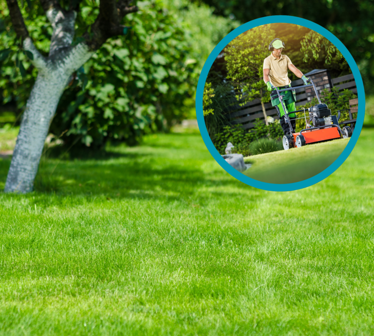 Ein Mann in grüner Arbeitshose mäht an einem sonnigen Tag mit rotem Rasenmäher das dichte, frischgrüne Gartenrasenstück. | © Canva [M]
