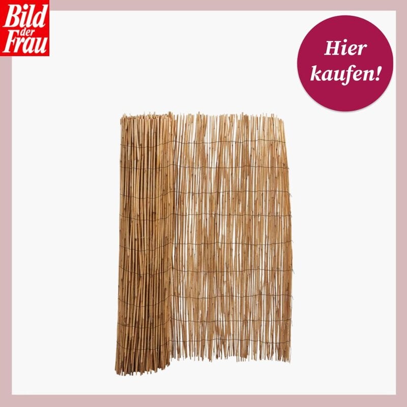  Das Bild zeigt einen Sichtschutz aus Schilfrohr mit natürlicher Färbung, der zur Verwendung auf einem Balkon oder in einem Garten gedacht ist. Im oberen Bereich des Bildes ist das Logo „Bild der Frau“ zu sehen, zusammen mit einem kreisförmigen, magentafarbenen Etikett mit der Aufschrift „Hier kaufen!“, was darauf hinweist, dass der Artikel zum Verkauf steht und wahrscheinlich über einen entsprechenden Link oder in einem Shop erworben werden kann. Der Hintergrund ist einheitlich in einem hellen Rosa gehalten, was den Sichtschutz optisch hervorhebt. | © Lidl