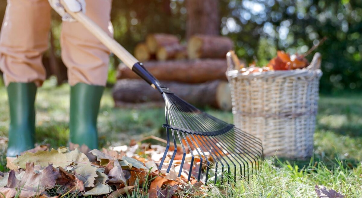 Eine Person in grünen Gummistiefeln und hellbrauner Hose harkt Laub im Garten neben einem Korb voller Blätter.