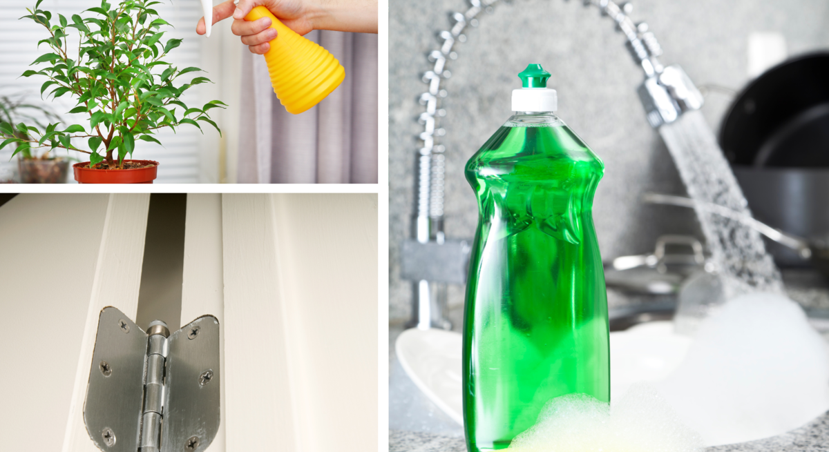 Eine Hand sprüht Zimmerpflanze mit gelber Flasche ein, daneben Türscharnier und Spülmittel mit Schwamm in schäumender Küche.