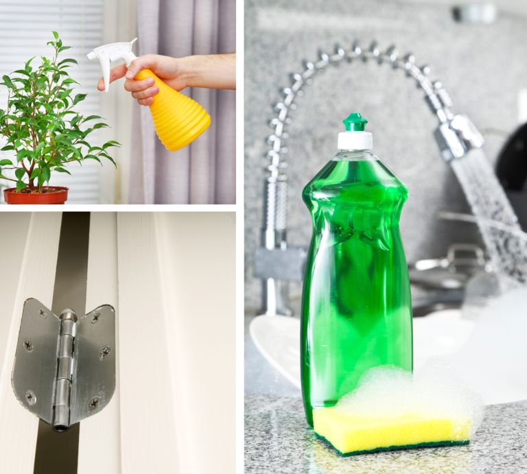 Eine Hand sprüht Zimmerpflanze mit gelber Flasche ein, daneben Türscharnier und Spülmittel mit Schwamm in schäumender Küche. | © Canva [M]
