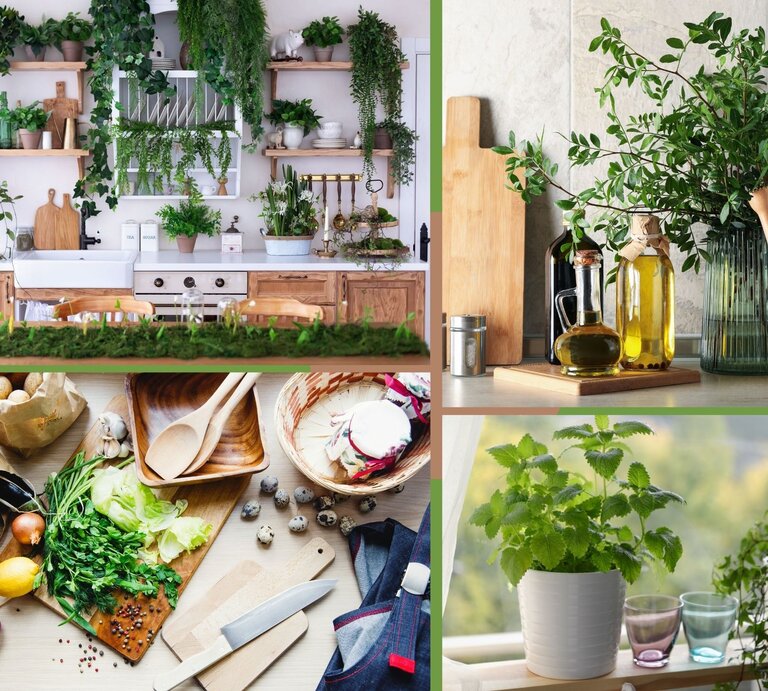 Eine helle Landhausküche mit offenen Holzregalen, üppigen grünen Pflanzen und weißen Keramiktellern, die eine gemütliche Atmosphäre schafft. | © Canva/Collage:bildderfrau.de