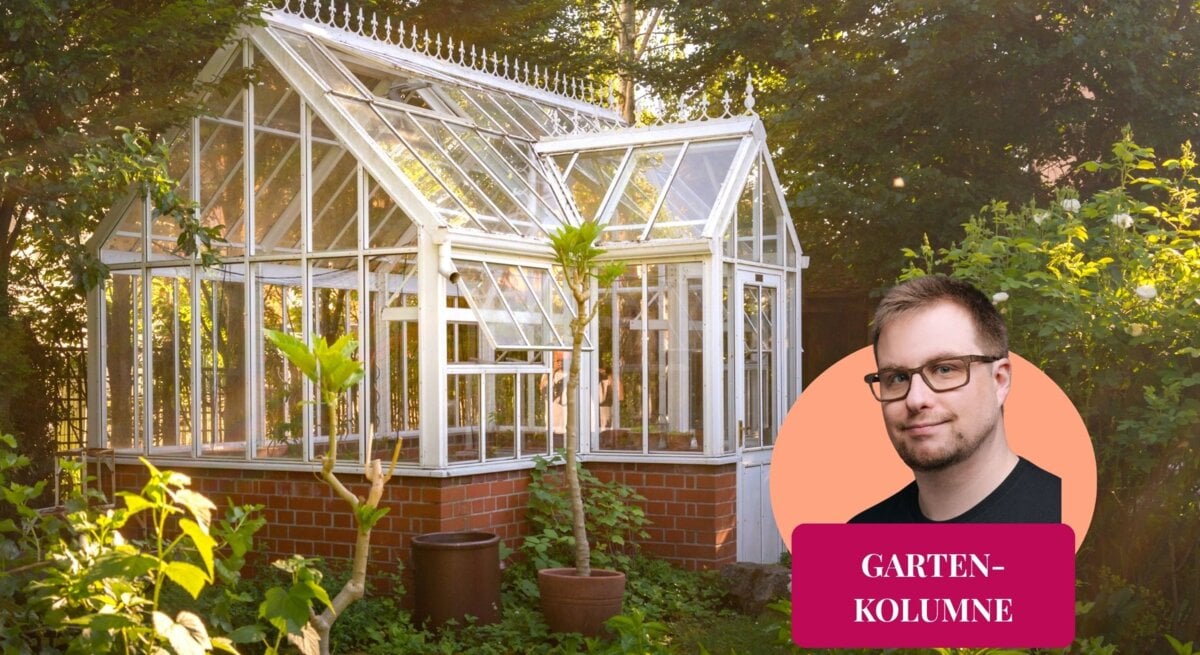 Gewächshaus im englischen Garten Stil in einer grünen Gartenoase