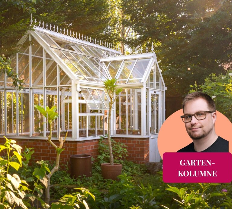 Gewächshaus im englischen Garten Stil in einer grünen Gartenoase | © reichdernatur / stock.adobe.com