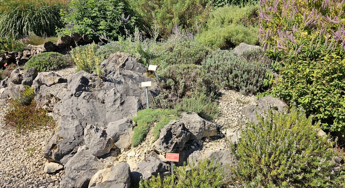 Ein Stein-Kräutergarten in einer Gärtnerei