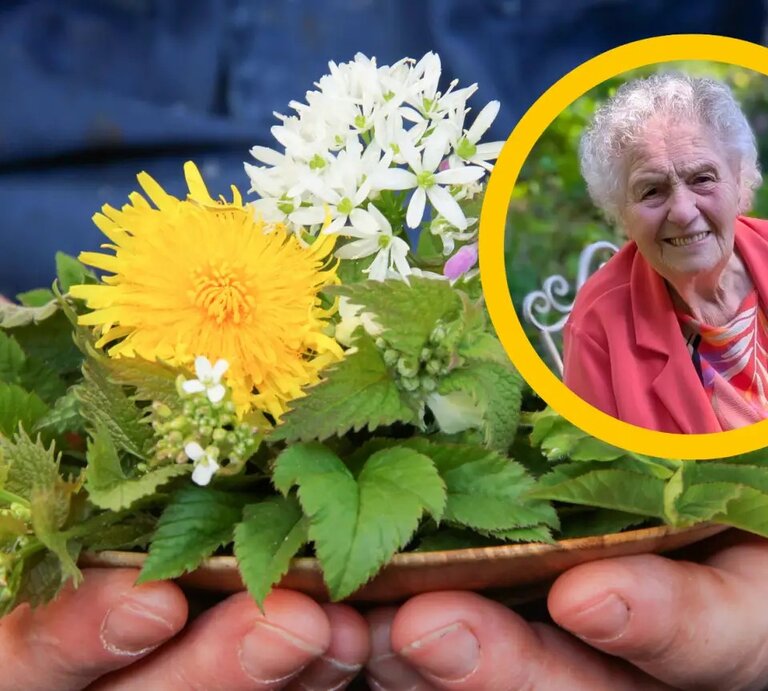 Hände mit essbarem Unkraut, daneben Bild von einer 102-jährigen Frau | © Getty Images, Ann-Karthrin Schöll