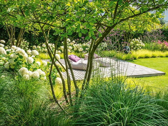Holzdeck mit Liege zwischen niedrigen Bäumen, Hortensien und Ziergräsern in einem sonnigen, grünen Garten. | © Callwey Verlag/ Forster Garten- und Landschaftsbau