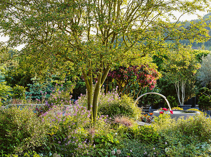 Dicht bepflanztes Staudenbeet mit kleinem Baum und runder Wasserinstallation, in warmem Abendlicht. | © Callwey Verlag/ Sarahkimstudio Fotografie