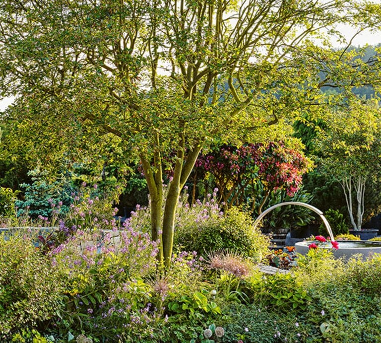 Dicht bepflanztes Staudenbeet mit kleinem Baum und runder Wasserinstallation, in warmem Abendlicht. | © Callwey Verlag/ Sarahkimstudio Fotografie