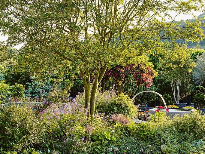 Dicht bepflanztes Staudenbeet mit kleinem Baum und runder Wasserinstallation, in warmem Abendlicht. | © Callwey Verlag/ Sarahkimstudio Fotografie