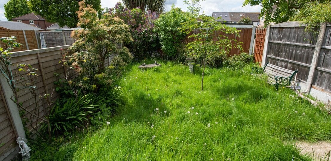 Ein kleiner lieblos gestalteter und wenig gepflegter Garten, mit hoch gewachsenem Rasen und ein paar vereinzelten Bäumen und Pflanzen.   | © Getty Images