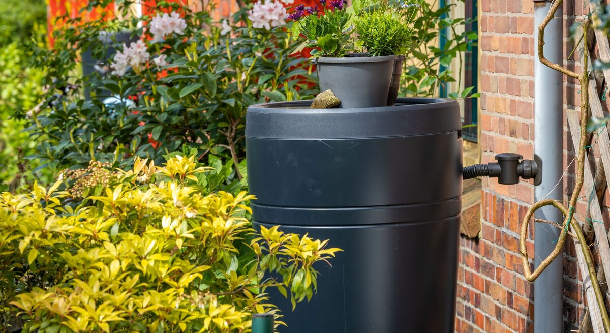 Graue Regentonne mit seitlichem Anschlussrohr steht an einer Hauswand, oben darauf Blumentöpfe mit bunten Pflanzen, umgeben von Sträuchern im Garten.