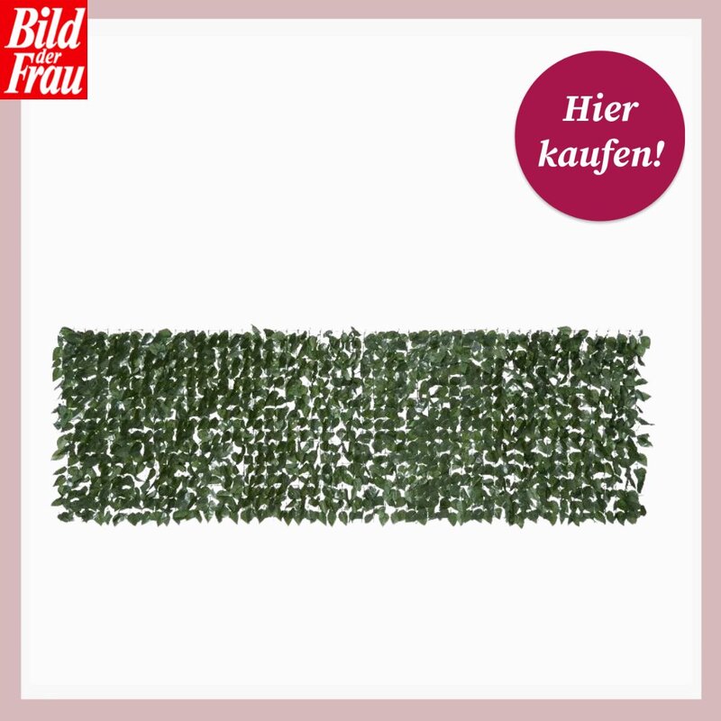 Dichte grüne Kunsthecke mit kleinen Blättern als Sichtschutz, freigestellt vor hellem Hintergrund in rechteckiger Form. | © Lidl/Canva/Collage:bildderfrau.de