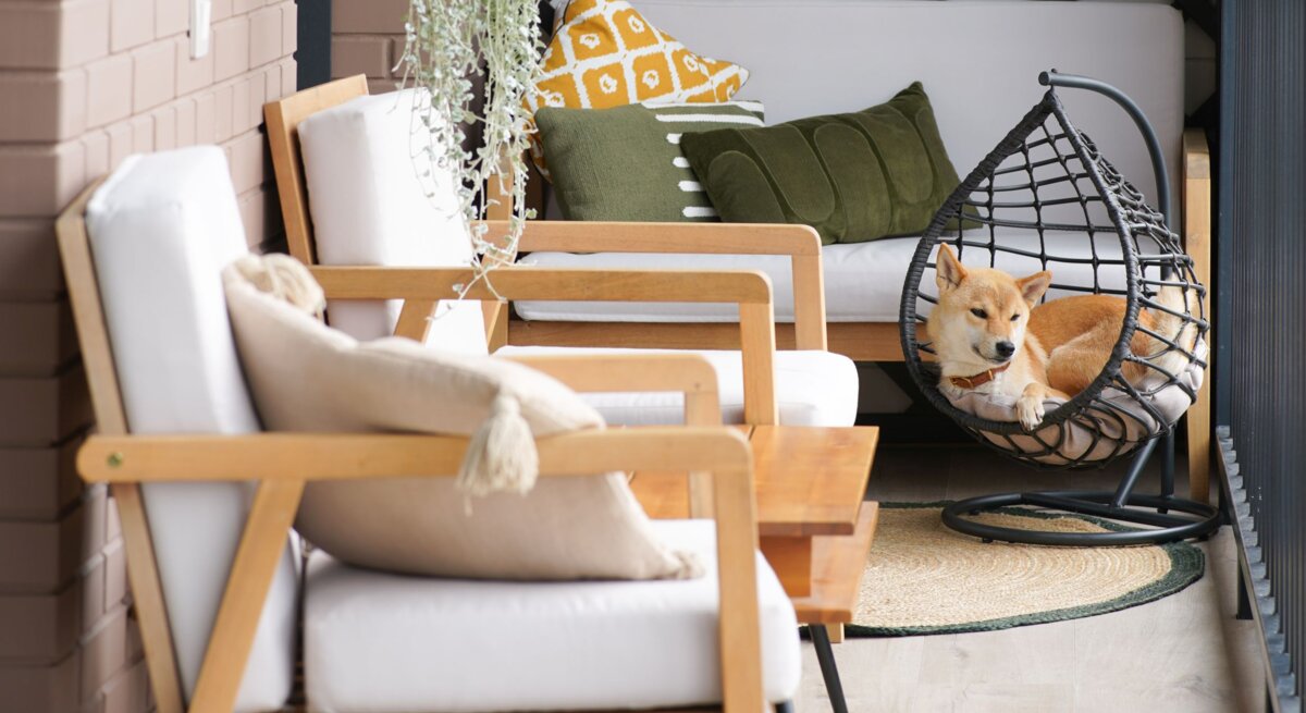 Schmaler Balkon mit Loungemöbeln, Wandspiegel und üppiger Hängepflanze; ein ruhiger Shiba Inu entspannt im schwarzen Hängesessel.