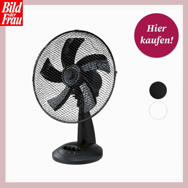 Schwarzer Tischventilator mit fünf Rotorblättern hinter Schutzgitter steht auf rundem Sockel vor hellem Hintergrund. | © Lidl/Canva/Collage:bildderfrau.de