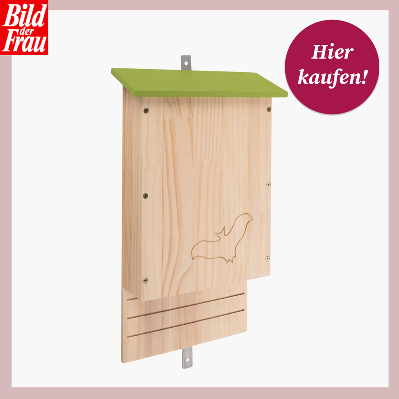 Das Fledermaushaus von Zoofari bei Lidl | © Lidl