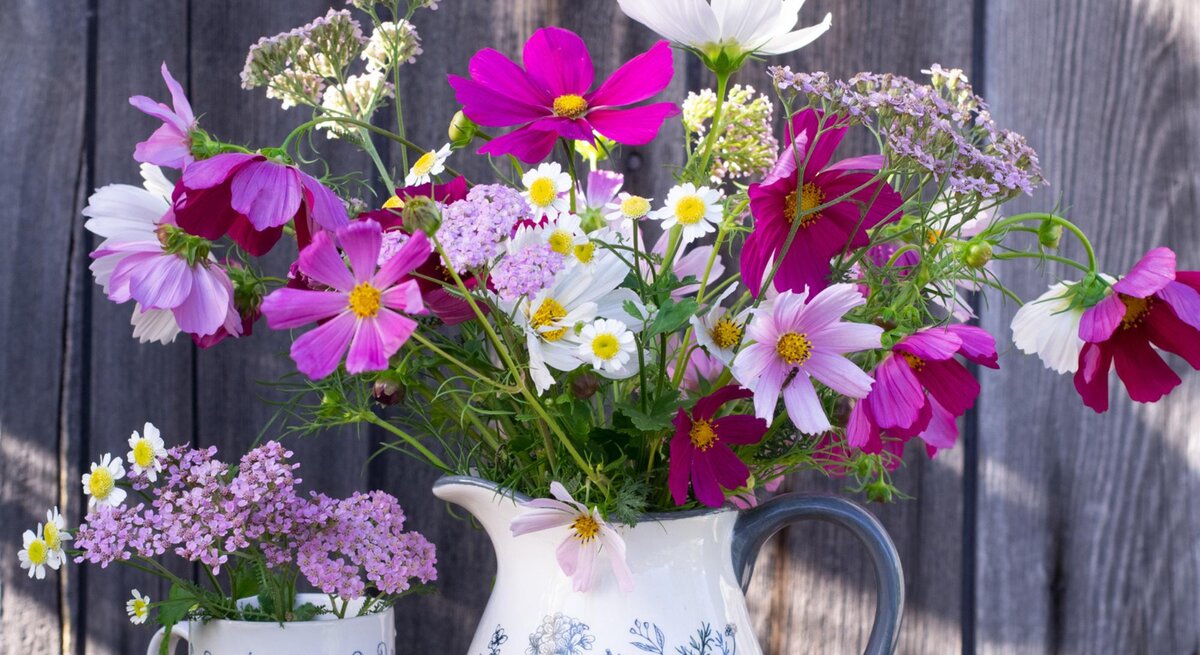 Die schönsten Schnittblumen im Juli: Damit wird jede Vase zum Hingucker