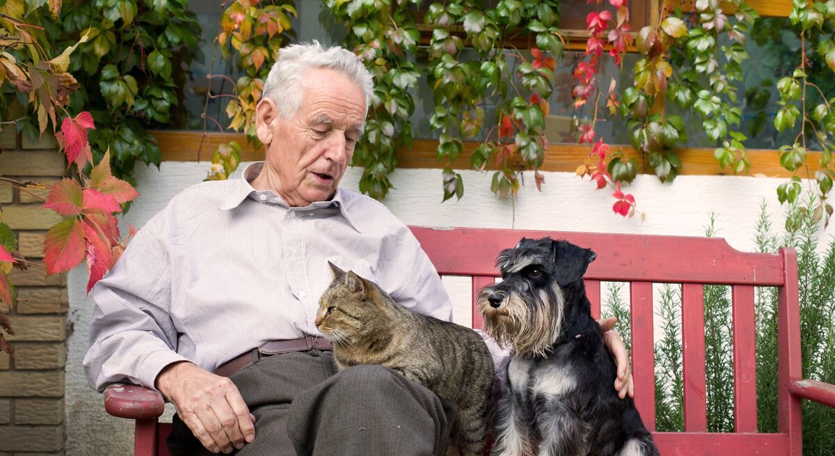 Älterer Mann mit grauem Haar sitzt entspannt auf roter Bank, streichelt graue Katze auf dem Schoß, daneben ein kleiner schwarzer Schnauzer.