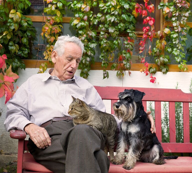 Älterer Mann mit grauem Haar sitzt entspannt auf roter Bank, streichelt graue Katze auf dem Schoß, daneben ein kleiner schwarzer Schnauzer. | © Adobe Stock / Budimir Jevtic