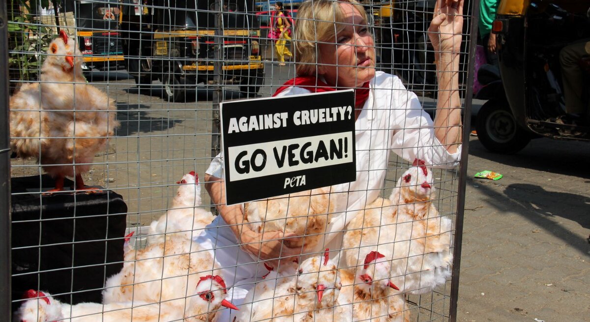 Protestaktion, bei der eine Frau, vermutlich eine Aktivistin, in einem Käfig neben mehreren Hühnern sitzt. Sie trägt ein weißes Oberteil und einen roten Schal. Auf einem Schild vor ihr steht die Botschaft „Against cruelty? Go vegan!“ und das Logo von PETA.