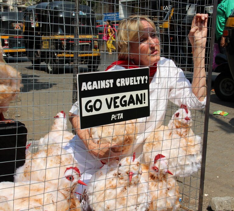 Protestaktion, bei der eine Frau, vermutlich eine Aktivistin, in einem Käfig neben mehreren Hühnern sitzt. Sie trägt ein weißes Oberteil und einen roten Schal. Auf einem Schild vor ihr steht die Botschaft „Against cruelty? Go vegan!“ und das Logo von PETA. | © PETA