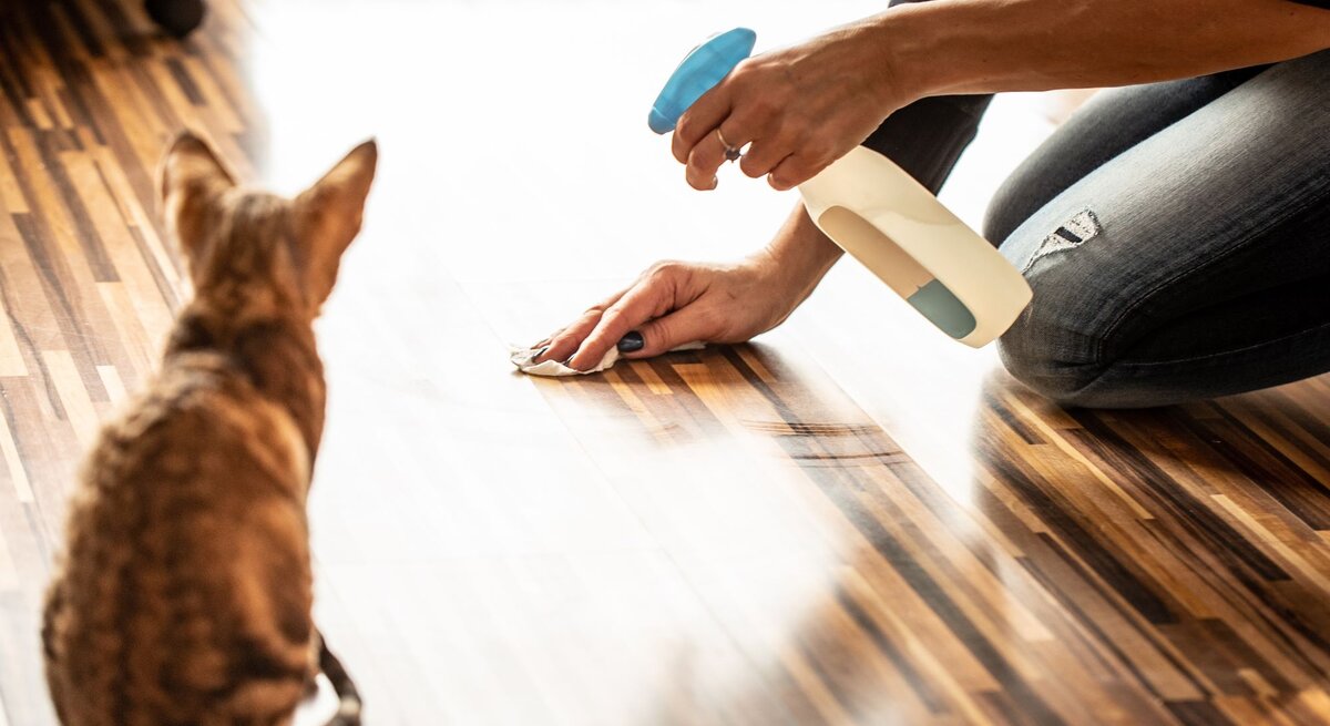 Person kniet auf dem Boden und säubert mit einem Reinigungsspray sowie einem Tuch offenbar eine Stelle auf dem Parkett. Eine Katze beobachtet aufmerksam das Geschehen