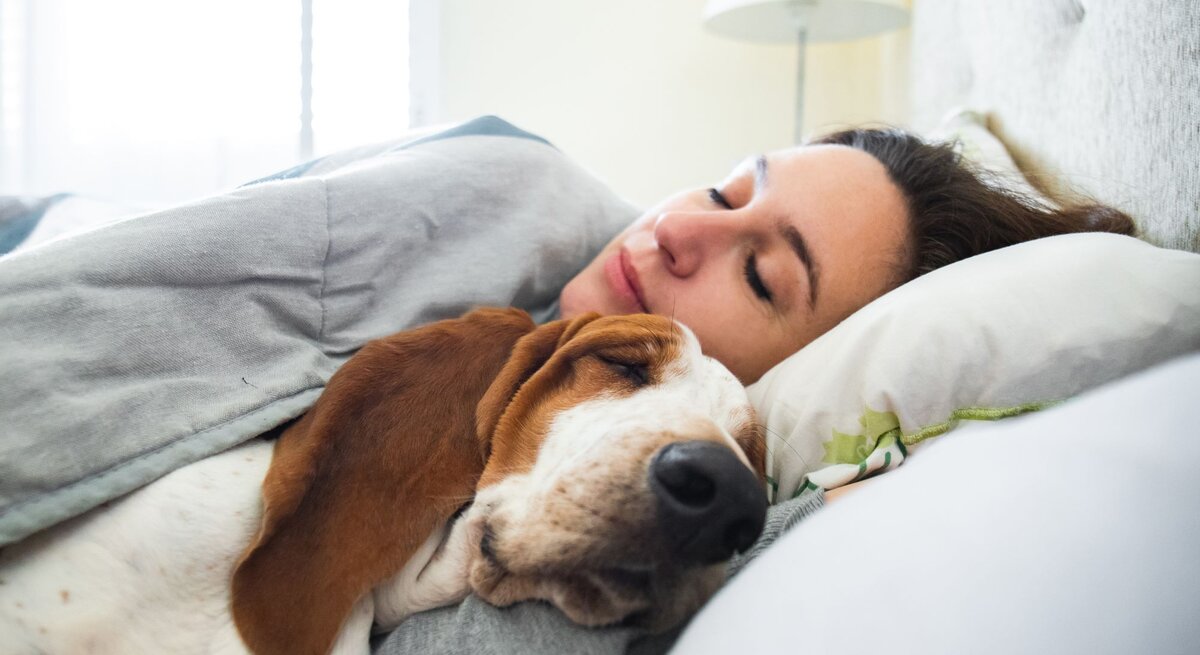 Frau, die zusammen mit ihrem Hund in einem Bett schläft. Beide liegen friedlich nebeneinander unter einer Decke.