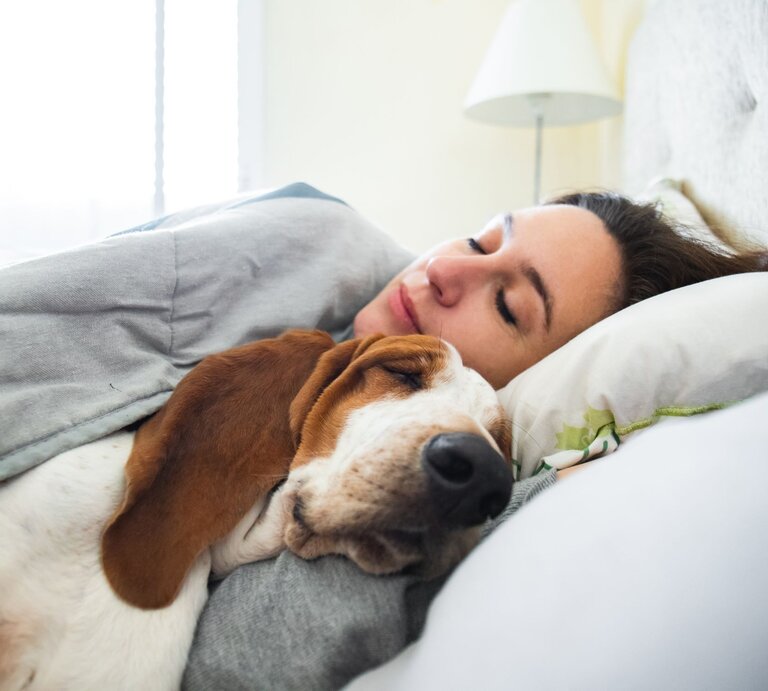 Frau, die zusammen mit ihrem Hund in einem Bett schläft. Beide liegen friedlich nebeneinander unter einer Decke. | © Adobe Stock / Daniel Rodriguez