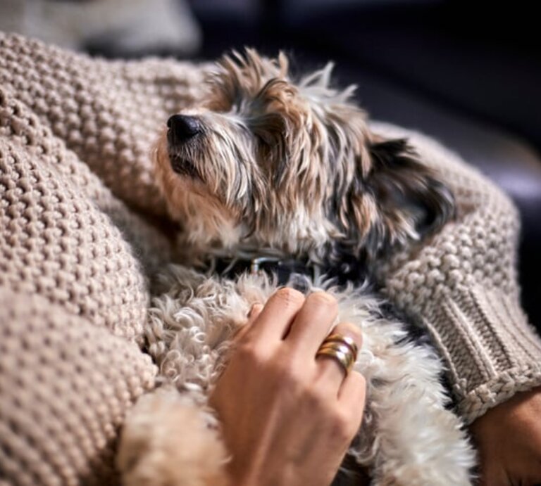 Frau hält einen kleinen Hund im Arm. | © Getty Images/ Oliver Rossi