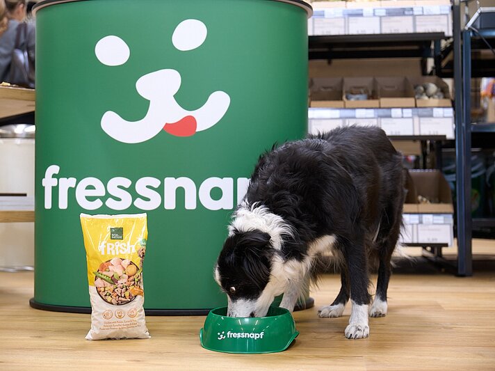 Ein schwarz-weißer Border Collie frisst aus einem grünen Fressnapf-Napf vor einem großen grünen Logo; links steht ein gelber Beutel Hundefutter, Regale im Hintergrund. | © FRESSNAPF