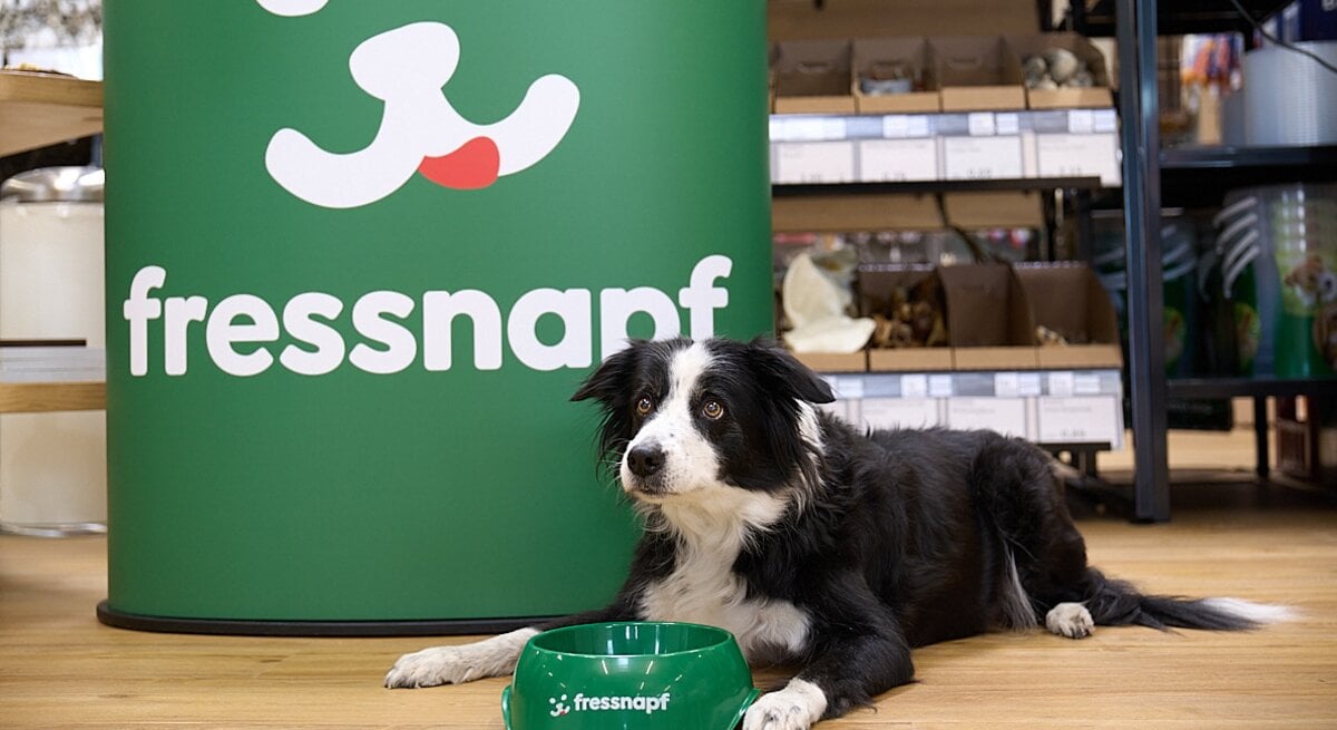 Ein schwarz-weißer Border Collie liegt vor einem großen grünen Fressnapf-Logo in einem Zoofachmarkt; Kopf neben einem grünen Napf, Regale im Hintergrund.
