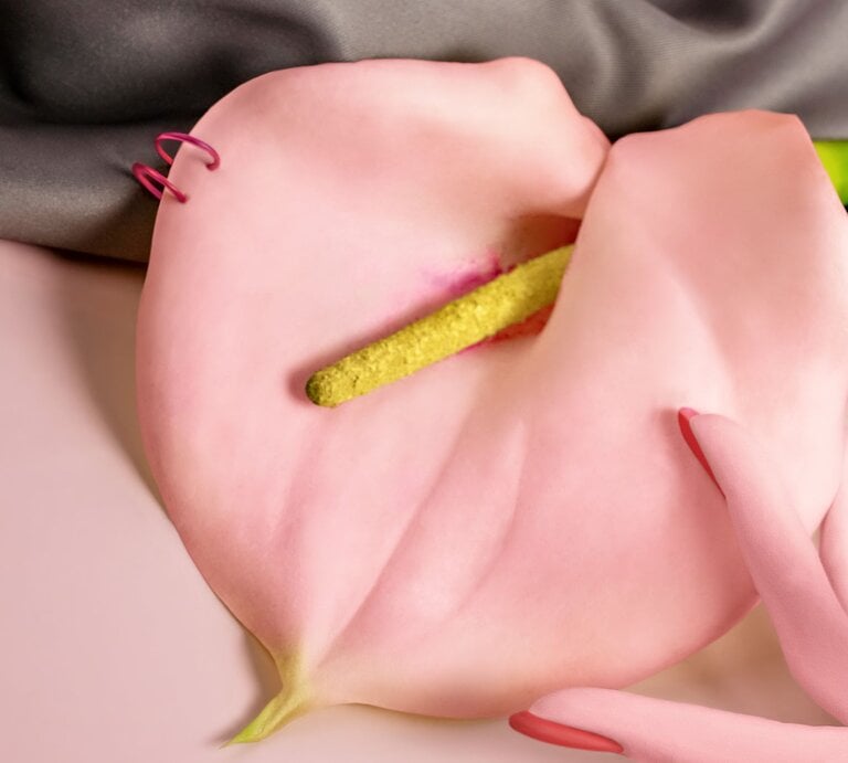 Zarte rosa Calla-Blüte mit gelbem Stempel auf pastellfarbenem Hintergrund, von einer eleganten Hand mit pinken Fingernägeln berührt. | © Getty Images / Juj Winn