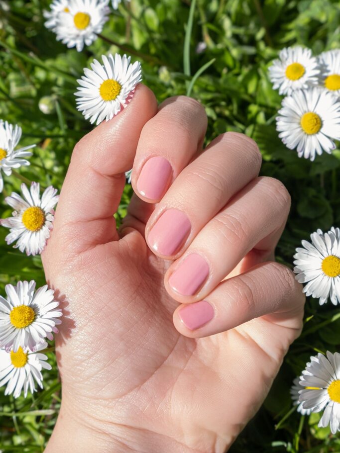 Nahaufnahme einer Hand mit rosa Maniküre zwischen blühenden Gänseblümchen auf frischem grünen Rasen. | © Adobe Stock/ devmarya
