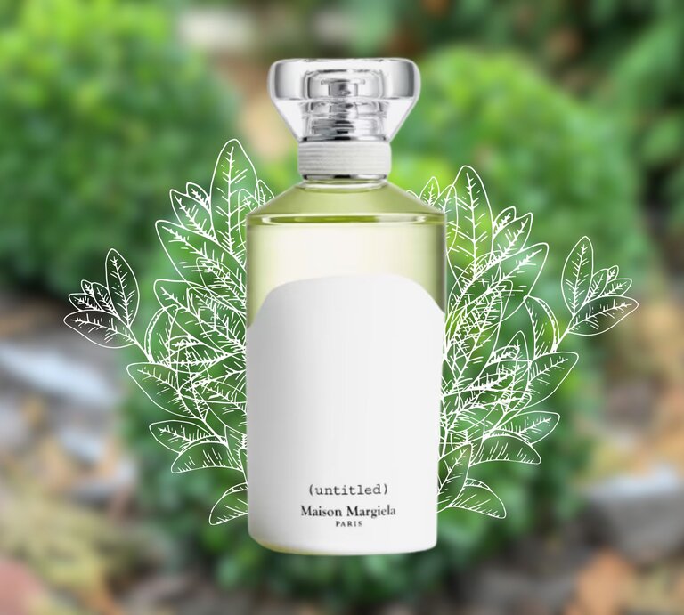Parfumflakon von Maison Margiela mit weißem Etikett vor grünen Büschen und gezeichneten Blättern als stilvolles Naturelement. | © Collage: bildderfrau.de, Douglas