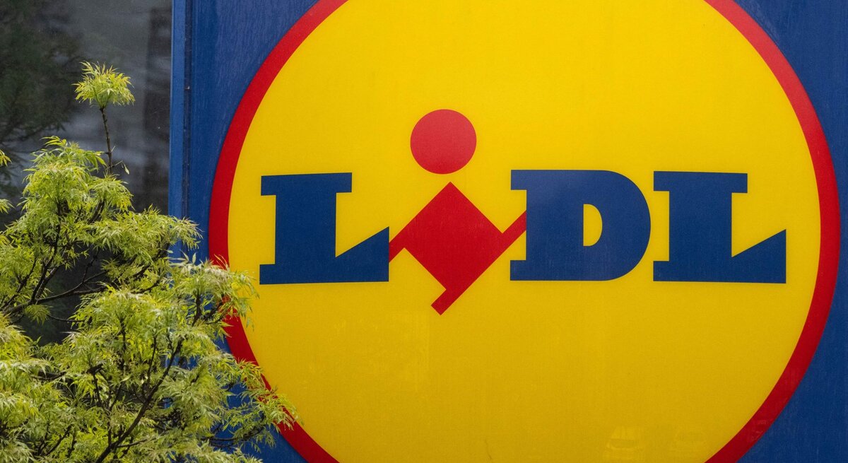 Großes Lidl-Logo auf blauem Hintergrund, links ein grüner Busch oder Baumzweig im Vordergrund.